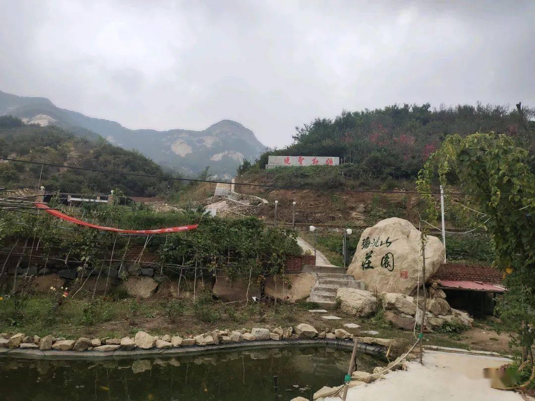 全区率先！石嘴山市将造血干细胞捐献行为纳入见义勇为表彰奖励范围