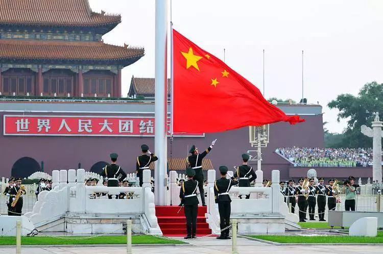救援小棕兔