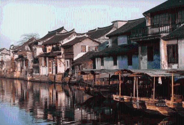 为盐碱地注入“金融活水”